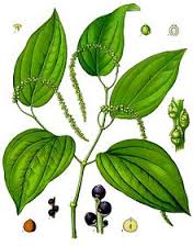 Essential Oil - Black Pepper-2