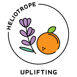 Essential Oil Blend Uplifting (Lavender Citrus)-0