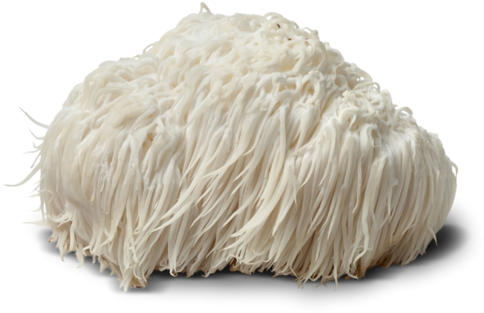 Lions Mane Extract 100vCaps-0